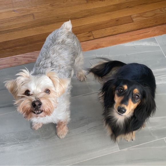 Meet your Posher, Kasey - Picture 4 of 11